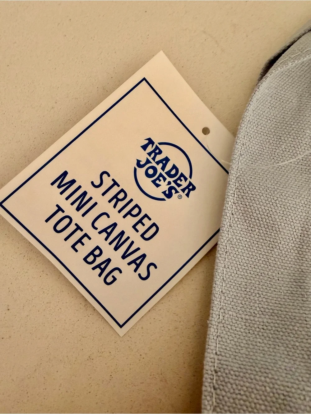 Trader Joe's Striped Mini Canvas Tote Bag - Blue & Cream - BNWT